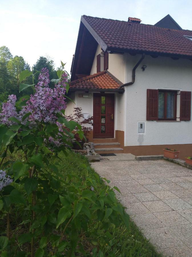 Apartment Sela Tolmin Esterno foto